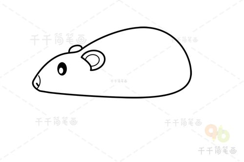 复齿鼯鼠简笔画
