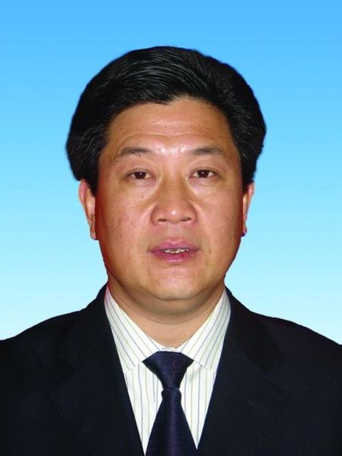 局副总经理简历