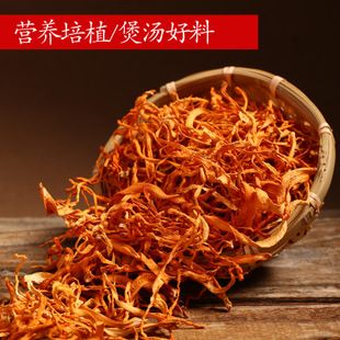 野生虫草花 金虫草 北极虫草花 金蛹虫草 孢子头 100g包邮