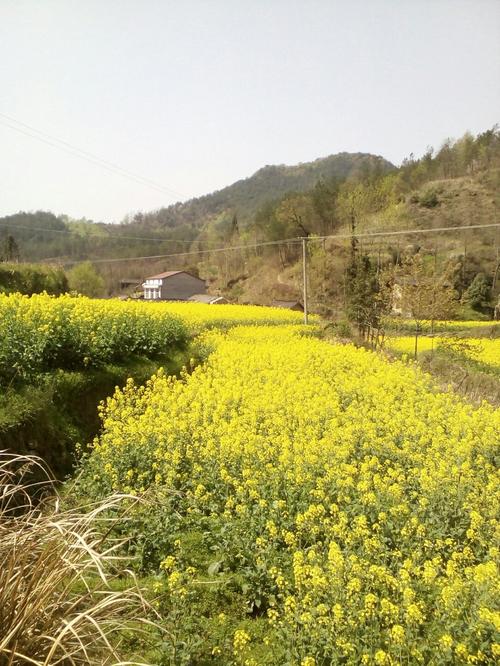 陕西省安康市汉阴县316国道靠近蒲溪镇人民政府