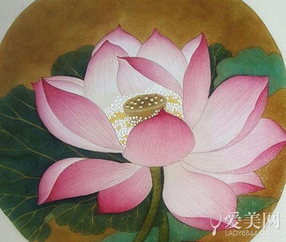 《出水芙蓉图》 作者吴炳