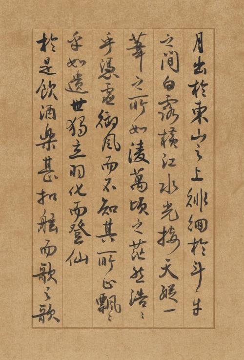 赵国安书法作品《赤壁赋》