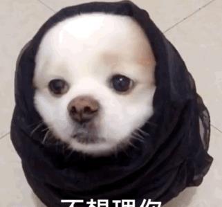 表情包|没回消息就是在忙农活