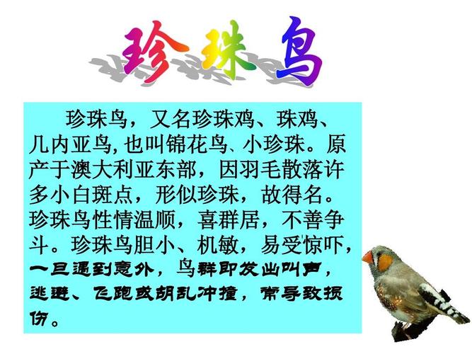 人教版小学语文五年级上册《珍珠鸟》课件_ppt