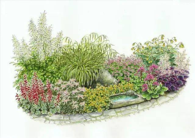 101款手绘花园院子植物小景