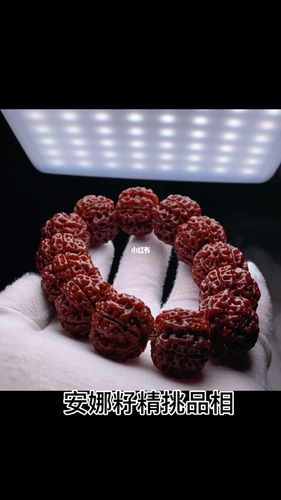 尼泊尔大金刚 玉化铁籽_尼泊尔_玉化_菩提_金刚菩提_兴趣爱好_兴趣