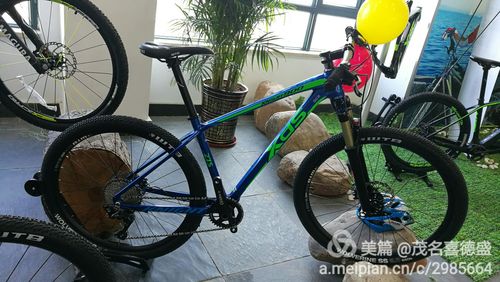 其它 喜德盛21周年新品速递 写美篇  mt5 mt5 rs750 rs710 rs710 rs