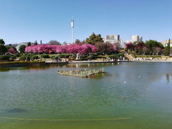 游曲靖龙潭公园和寥廓公园:2019年3月初