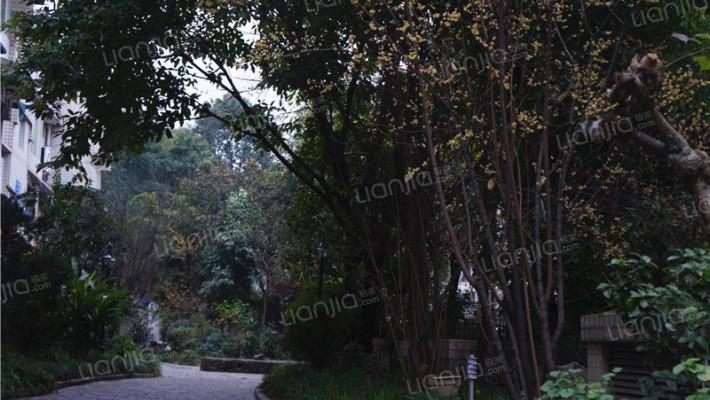 成都二手房 青羊二手房 浣花溪二手房 春天花园二手房 当前房源