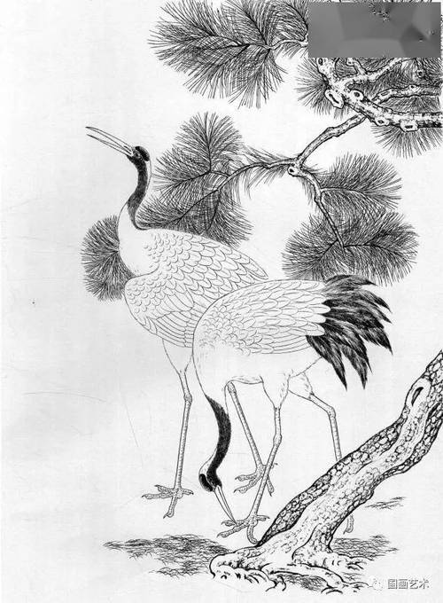 分享一组仙鹤线描画稿选页