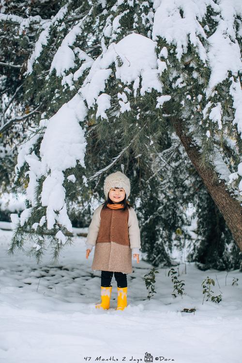 冬天里我们一起拥抱洁白的雪,紧紧靠着相互取暖.