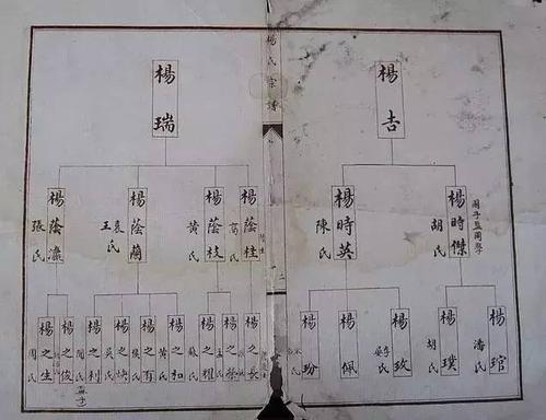 杨氏出自姬姓,有以国为氏和以邑为氏两个来源.