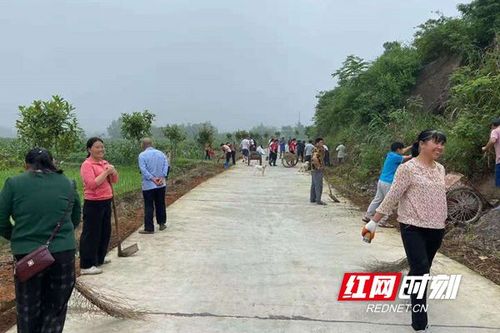 新宁县回龙寺镇乡村振兴我出力全民出动靓村庄