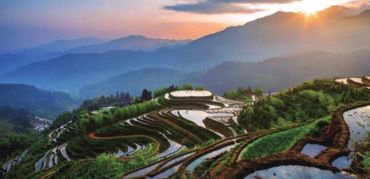 遂川"问茶寻春"之旅风景独好(多图)