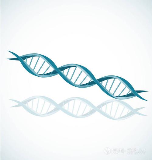 dna 链双螺旋螺旋图标矢量集