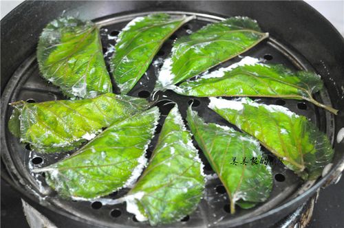 【桑叶饺子的做法,桑叶饺子的家常做法】美食杰菜谱