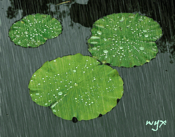 雨水至,最美的雨水在诗词里! .