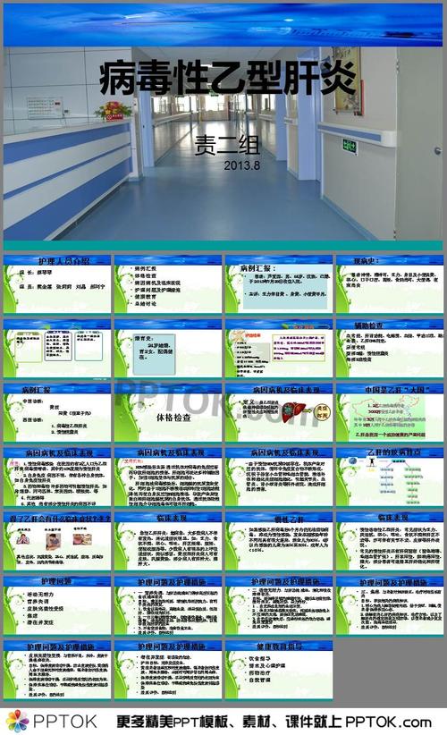 乙肝病人的护理查房ppt