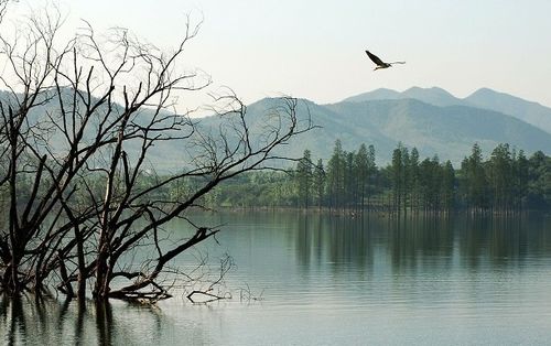  p>西渚镇隶属于 a href="#" data-lemmaid="2395245">无锡市 /a>宜兴