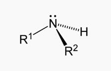 amine)为胺的一种,也称二级胺,通式为r2nh,与伯胺(rnh2),叔胺(r3n),季