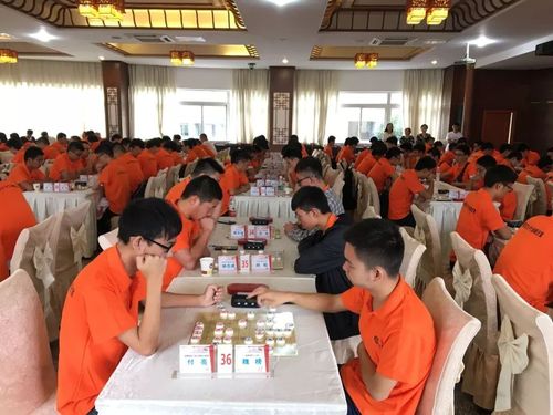 2018四川省大学生象棋比赛落幕 西南交大包揽三金