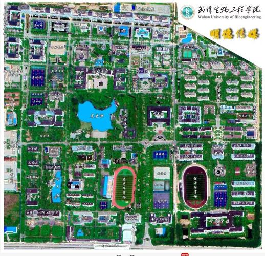 武汉生物工程学院招生办