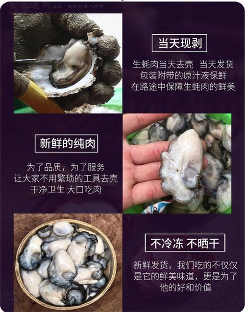 4斤起批鲜生蚝肉海蛎子肉去壳现剥乳山生蚝肉牡蛎肉带