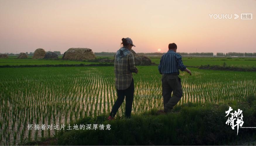 大地情书