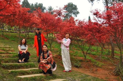 贵阳乌当新堡枫叶谷