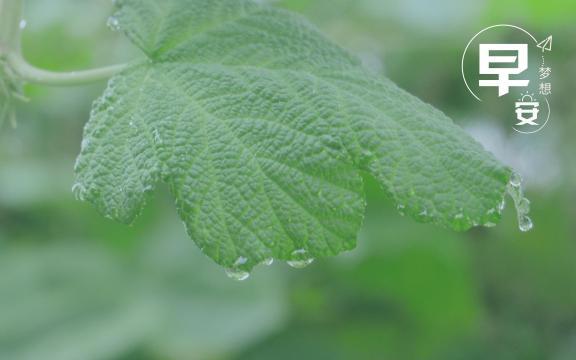 早安雨后清新生活随景