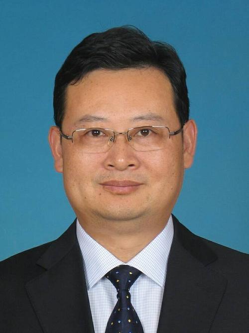 陈瑾任上城区委书记 提名金承涛为区长候选人