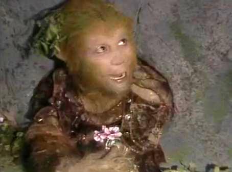 西游记五指山下的孙悟空手抄报 西游记手抄报