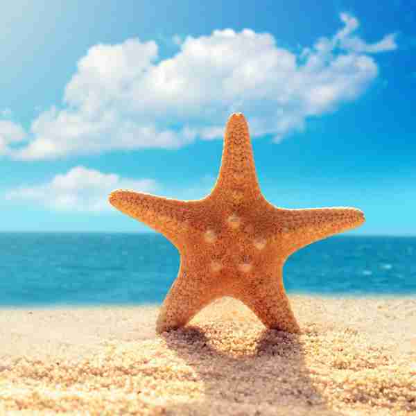 海星唯美头像_微信头像图片大全