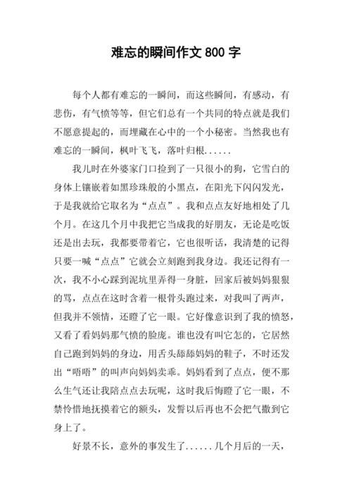 难忘的瞬间作文800字