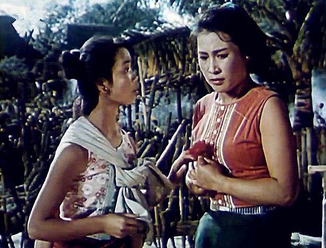 《摩雅傣》这部电影可以说是凝聚了很多人的心血,作为主演的秦怡也