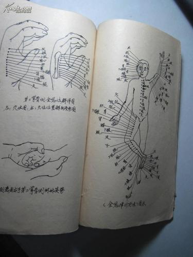 全息律神奇诊疗法(手写本)