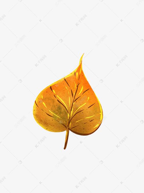 秋天秋叶落叶枫叶手绘素材
