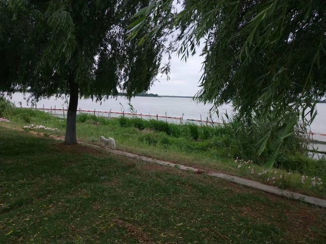 首发岔河你的小桥流水永远流淌在我的梦河