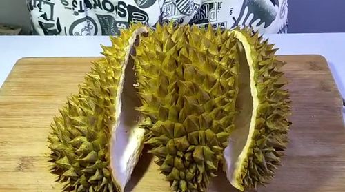 一个榴莲这么贵,榴莲壳不吃多浪费,原来还有这个妙用,厉害了