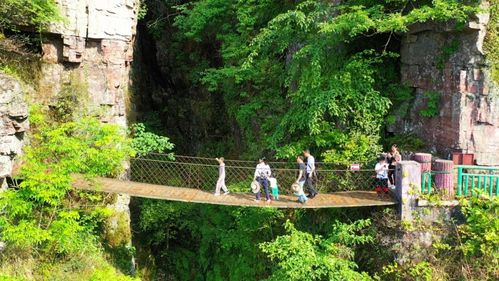 澎湃号>来宾电视台> ▲金秀莲花山景区▲金秀圣堂山景区74金秀县