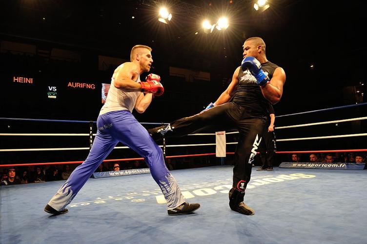  p>赛法斗(savate),又称"法式拳击"或"法国踢打术"" a href="#" data