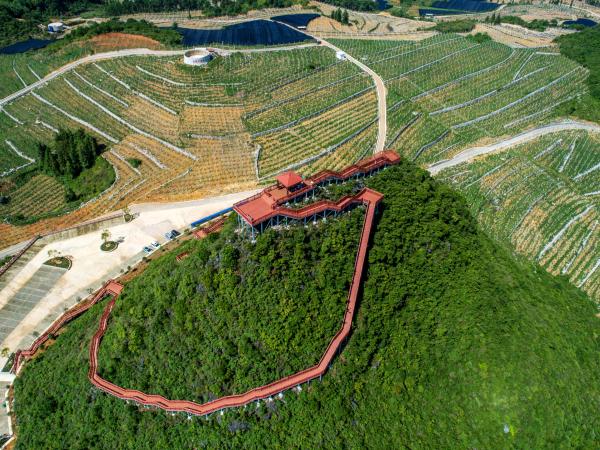 困难地区鼓励群众自建小水池西畴新马街茶山如今的西畴已成为山青水净