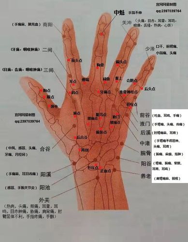 手部穴位全息全身图解.