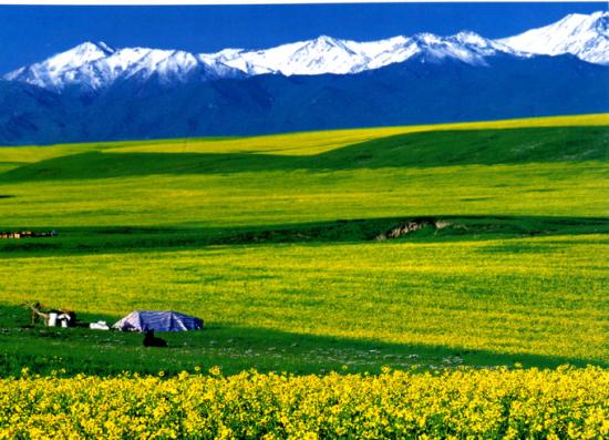 山丹县,隶属甘肃省张掖市,地处河西走廊中部,是塞上明珠,丝路重镇金