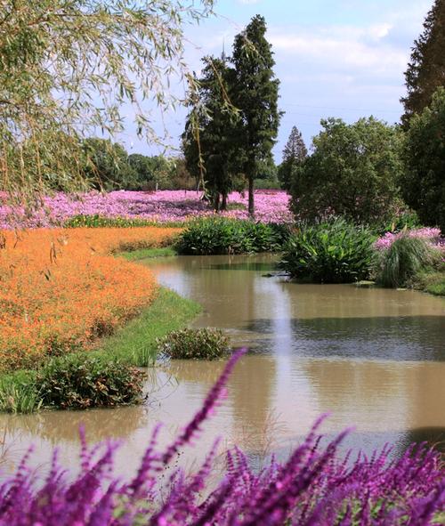 花开海上生态园(上海金山区)