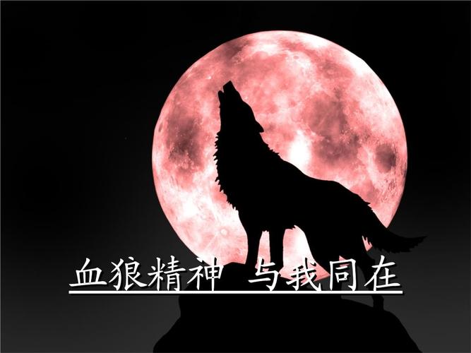 血狼精神 与我同在.ppt 17页