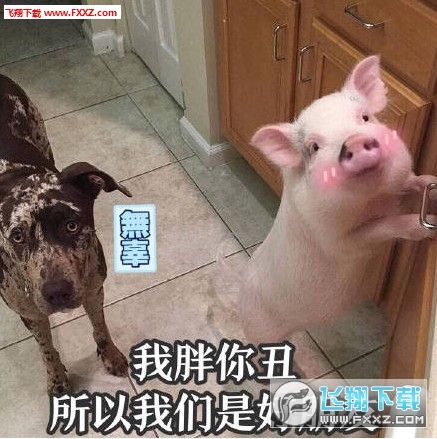 网络工具 聊天工具 → 吸猪表情包 高清版 1,不应当,因为我只是一头