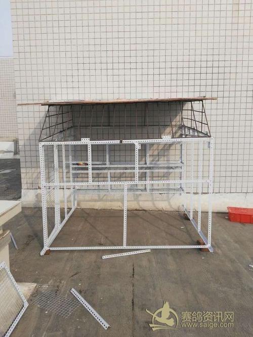 单位楼顶偷偷建个小鸽舍