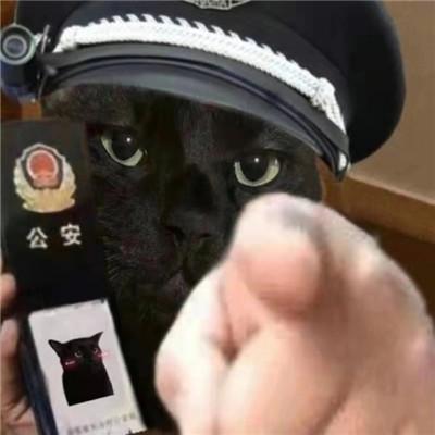 小猫咪警察搞笑表情包大全大全