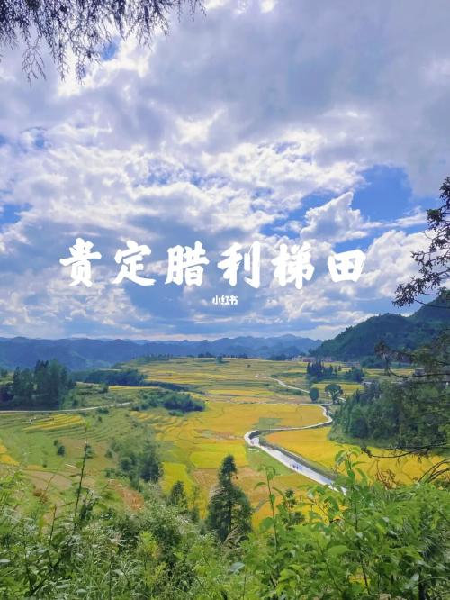 贵阳周边限定秋景/贵定腊利村绝美梯田_景点_梯田_风景_腊利梯田攻略